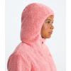 imageTHE NORTH FACE Teen Campshire Full Zip HoodieTerracotta