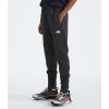imageTHE NORTH FACE Teen Canyonlands JoggerTnf Dark Grey Heather