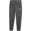 imageTHE NORTH FACE Teen Canyonlands JoggerTnf Dark Grey Heather