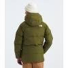 imageTHE NORTH FACE Teen North Down FleeceLined Short ParkaForest Olive