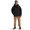 imageTHE NORTH FACE Teen North Down FleeceLined Short ParkaTnf Black