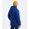 imageTHE NORTH FACE Teen North Down FleeceLined Short ParkaTnf Blue