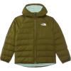 Forest Olive