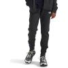 imageTHE NORTH FACE Teen Canyonlands JoggerTnf Dark Grey Heather