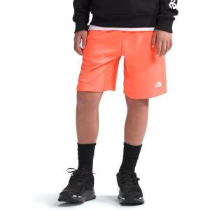 imageTHE NORTH FACE Boys Never Stop Knit Training ShortVivid Flame