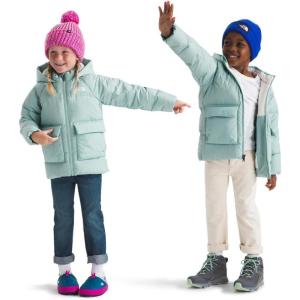 imageTHE NORTH FACE Kids North Down FleeceLined ParkaMuted Pine