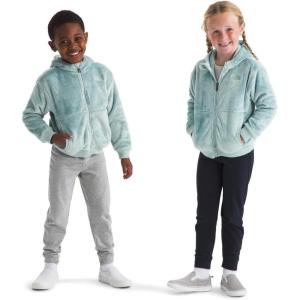 imageTHE NORTH FACE Kids Osito Full Zip HoodieMuted Pine
