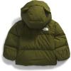 imageTHE NORTH FACE Baby Boys North Down FleeceLined Jacket InfantForest Olive