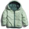 imageTHE NORTH FACE Baby Reversible ThermoBall Insulated Hooded JacketDark Sage