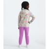 imageTHE NORTH FACE Glacier Full Zip Hoodie ToddlerMuted Pine Folk Floral Tossed Print