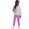 imageTHE NORTH FACE Glacier Full Zip Hoodie ToddlerMuted Pine Folk Floral Tossed Print