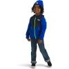 imageTHE NORTH FACE Glacier Full Zip Hoodie ToddlerTnf Blue