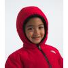 imageTHE NORTH FACE Kids Boys Reversible Shasta Full Zip Hooded JacketTnf Red