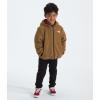 imageTHE NORTH FACE Kids Boys Reversible Shasta Full Zip Hooded JacketTnf Red