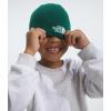 imageTHE NORTH FACE Kids Jim BeanieEvergreen