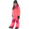 imageTHE NORTH FACE boys Freedom Snow Suit ToddlerRadiant Poppy