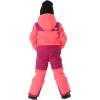 imageTHE NORTH FACE boys Freedom Snow Suit ToddlerRadiant Poppy