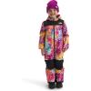 imageTHE NORTH FACE boys Freedom Snow Suit ToddlerRadiant Poppy Blowing Wind Print