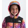 imageTHE NORTH FACE boys Freedom Snow Suit ToddlerRadiant Poppy Blowing Wind Print