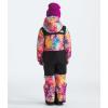 imageTHE NORTH FACE boys Freedom Snow Suit ToddlerRadiant Poppy Blowing Wind Print