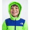 imageTHE NORTH FACE boys Freedom Snow Suit ToddlerSafety Green