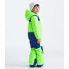 imageTHE NORTH FACE boys Freedom Snow Suit ToddlerSafety Green