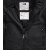 imageTHE NORTH FACE boys Freedom Snow Suit ToddlerTnf Black