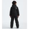 imageTHE NORTH FACE boys Freedom Snow Suit ToddlerTnf Black