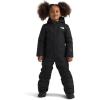 imageTHE NORTH FACE boys Freedom Snow Suit ToddlerTnf Black