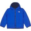 Tnf Blue