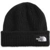 imageTHE NORTH FACE Salty Dog Beanie Little KidsBig KidsTnf Black