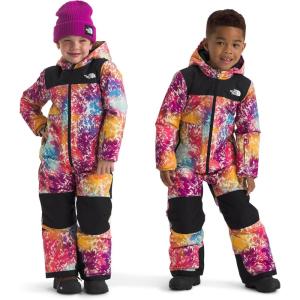 imageTHE NORTH FACE boys Freedom Snow Suit ToddlerRadiant Poppy Blowing Wind Print