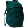 Deep Nori/Tnf Black
