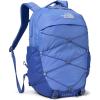 Virtual Blue/Indigo Plum