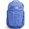 Virtual Blue/Indigo Plum