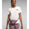 imageTHE NORTH FACE Jester Lumbar PackFawn Grey Fall Wanderer Print