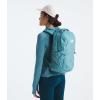 imageTHE NORTH FACE Womens Jester Everyday Laptop Backpack Light Mahogany Dark HeatherIron RedTNF Black One SizeAlgae BlueMuted Pine