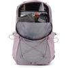 imageTHE NORTH FACE Womens Jester Everyday Laptop Backpack Light Mahogany Dark HeatherIron RedTNF Black One SizeAshen Purple Metallic Melange