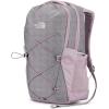 imageTHE NORTH FACE Womens Jester Everyday Laptop Backpack Light Mahogany Dark HeatherIron RedTNF Black One SizeAshen Purple Metallic Melange