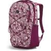 imageTHE NORTH FACE Womens Jester Everyday Laptop Backpack Light Mahogany Dark HeatherIron RedTNF Black One SizeBoysenberry Coleus Camo Print