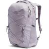 imageTHE NORTH FACE Womens Jester Everyday Laptop Backpack Light Mahogany Dark HeatherIron RedTNF Black One SizeMinimal Grey Dark HeatherMinimal Greynpf