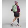 imageTHE NORTH FACE Womens Jester Everyday Laptop Backpack Light Mahogany Dark HeatherIron RedTNF Black One SizeMisty SageTnf Black