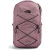 Fawn Grey/Tnf Black