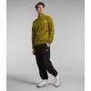 imageTHE NORTH FACE Mens Canyonlands  Zip Pullover Sweatshirt Sulphur Moss Heather Medium