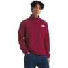 imageTHE NORTH FACE Mens Cedar Trail Grid Fleece 14 ZipBeetroot