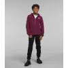 imageTHE NORTH FACE Teen Glacier Lightweight Full Zip Hooded JacketBoysenberry