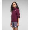 imageTHE NORTH FACE Teen Glacier Lightweight Full Zip Hooded JacketBoysenberry