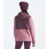 imageTHE NORTH FACE Womens Glacier Fleece Pullover HoodieMauveMidnight Mauve
