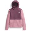 imageTHE NORTH FACE Womens Glacier Fleece Pullover HoodieMauveMidnight Mauve