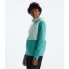 imageTHE NORTH FACE Womens Glacier Fleece Pullover HoodieOxidized BronzeMuted Pine
